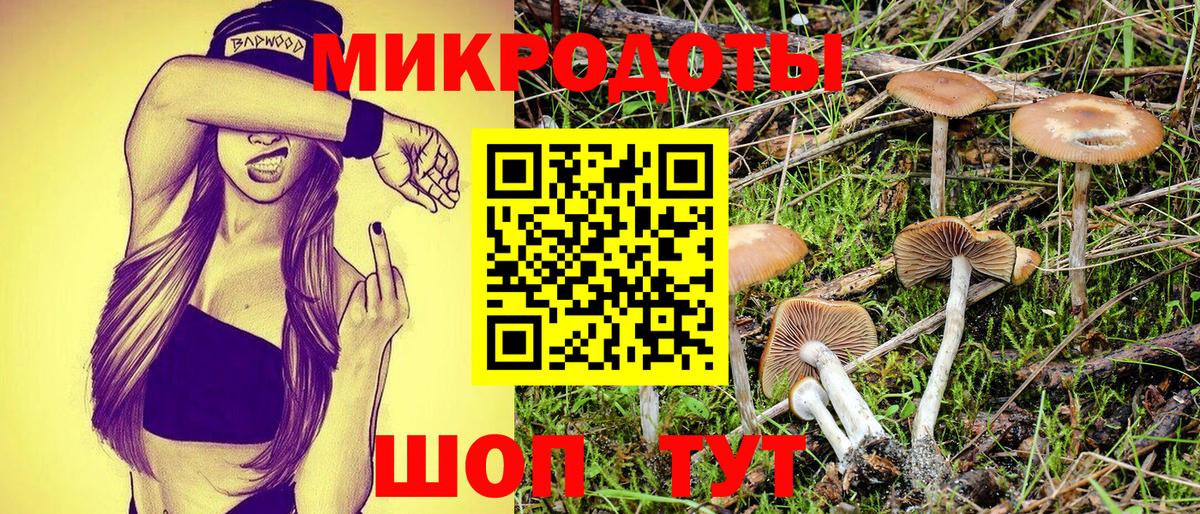 Сунжа  Галлюциногенные грибы прущие грибы  Галлюциногенные грибы MAGIC MUSHROOMS  Вход с VPN 
