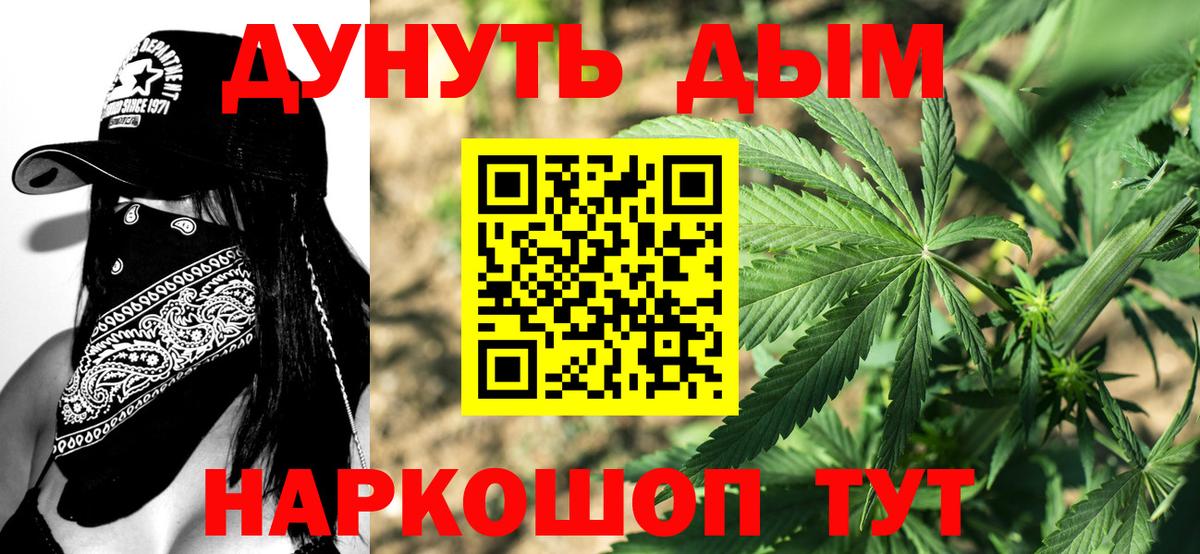 Бошки марихуана White Widow  Вход с VPN  Шишки марихуана сатива  Сунжа  Каннабис планчик 